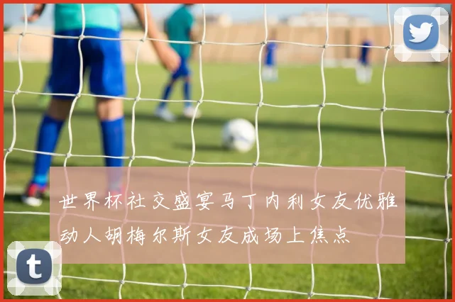世界杯社交盛宴马丁内利女友优雅动人胡梅尔斯女友成场上焦点